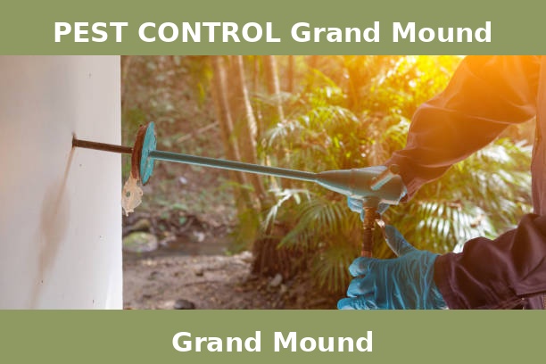 PEST CONTROL Grand Mound